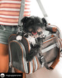 Transportadora expandible para mascotas Gold Series Big Apple XL, foto 10