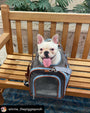 Gold Series Big Apple Double Expandable Pet Carrier, photo 5