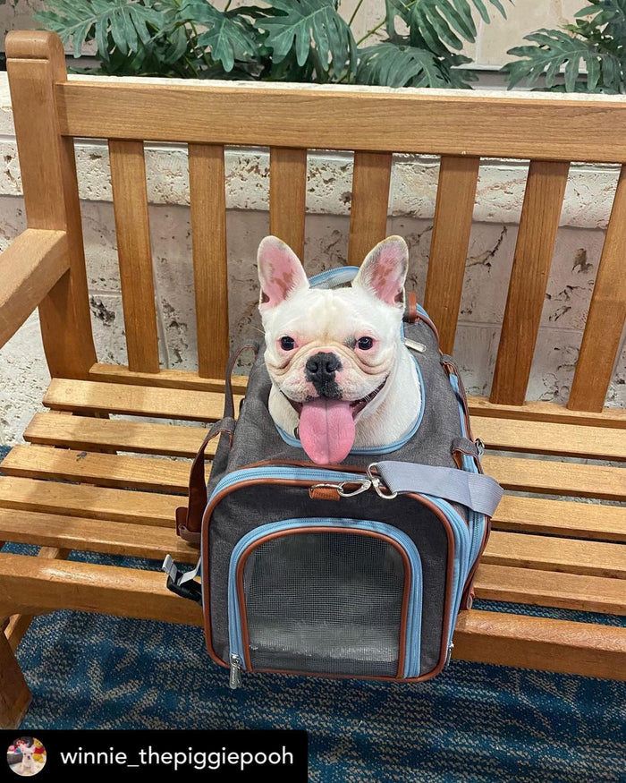 Gold Series Big Apple Double Expandable Pet Carrier, photo 5