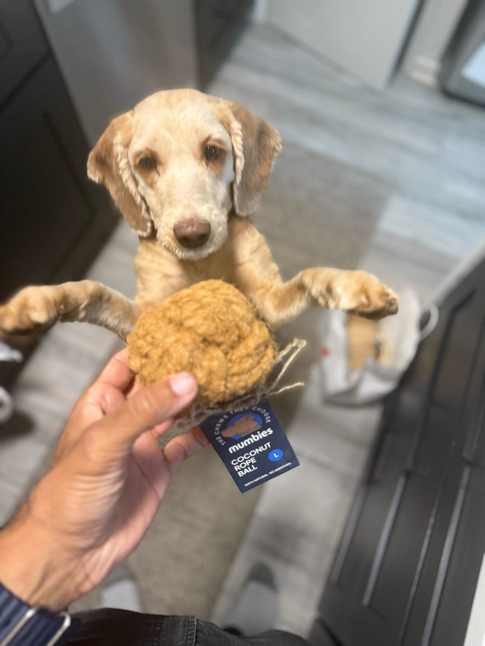 Coconut Rope Ball Dog Toy, photo 2