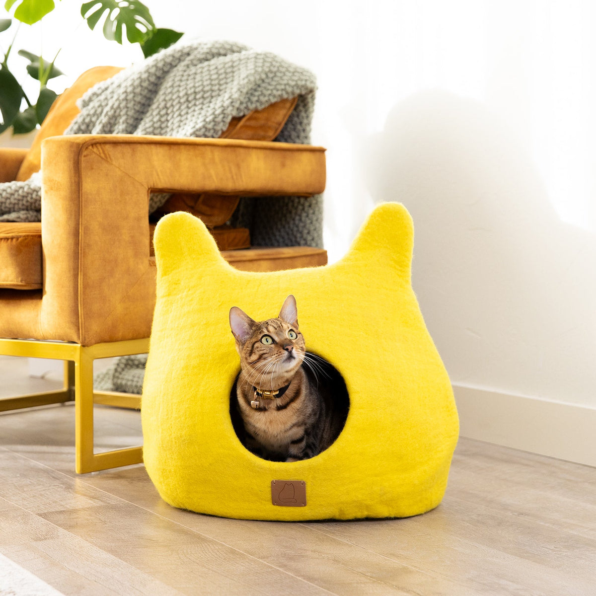 Felted Wool Cat Cave with Ears, Sunny Yellow