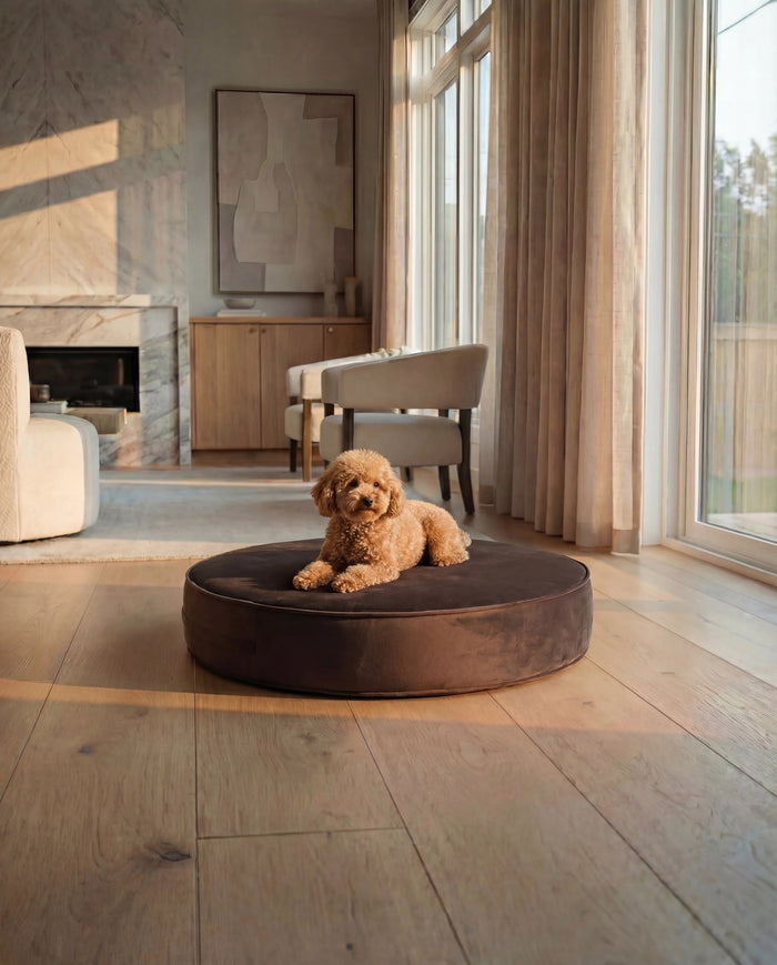 Cama redonda tipo puf para perro The Circle, foto 4