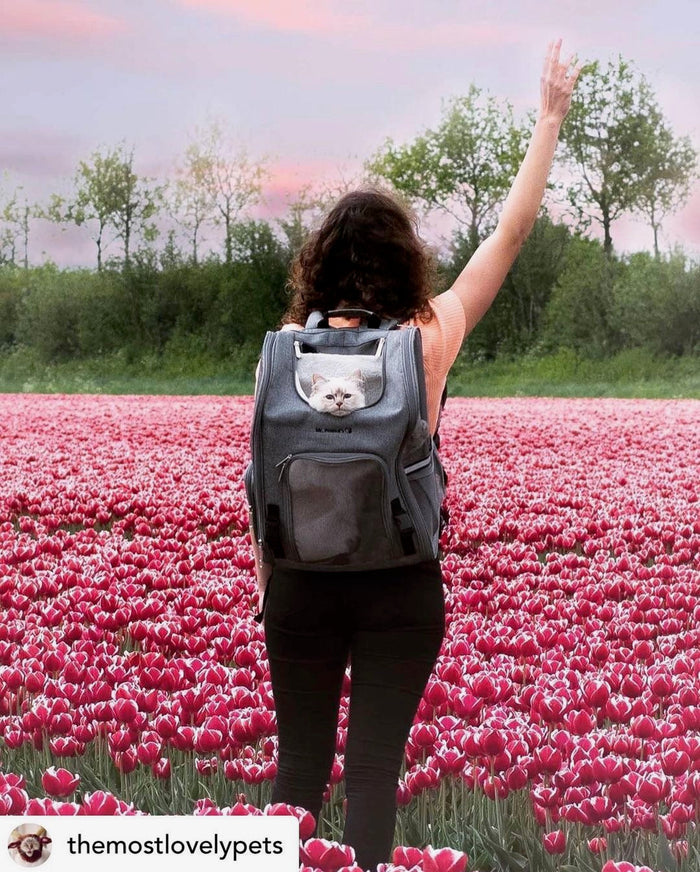 Aspen Backpack Pet Carrier, photo 4