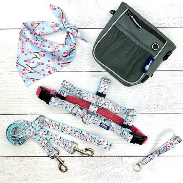 Cherry Blossoms Blue Freedom No-Pull Dog Harness Bundle, photo 2
