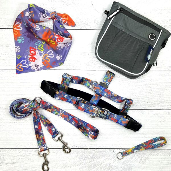 Love Graffiti Blue Freedom No-Pull Dog Harness Bundle, photo 2