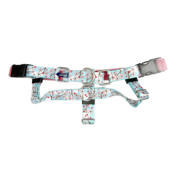 Cherry Blossoms Blue Freedom No-Pull Dog Harness Bundle, photo 1