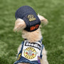 Ruff & Roll Hat, photo 1