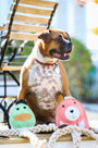 Natural Rope Knottie Dog Toys, 3 Pack, XL, photo 10