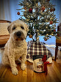 Yummies Freeze-Dried Bison Liver Dog Treats, photo 10