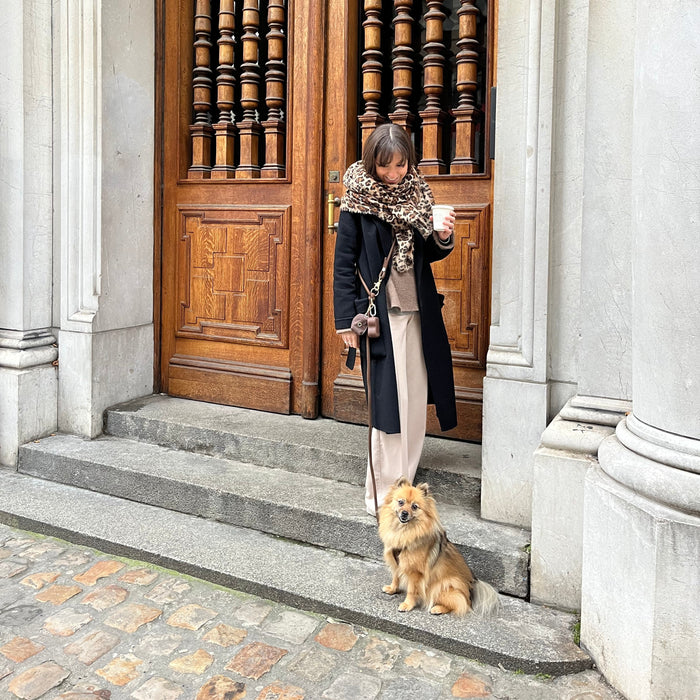Woman walking a Pomeranian on a hands-free braided leash