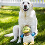 Dilly Duck Knottie, juguete de peluche para perro, foto 9