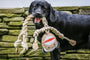 Natural Rope Knottie Dog Toys, 3 Pack, XL, photo 5