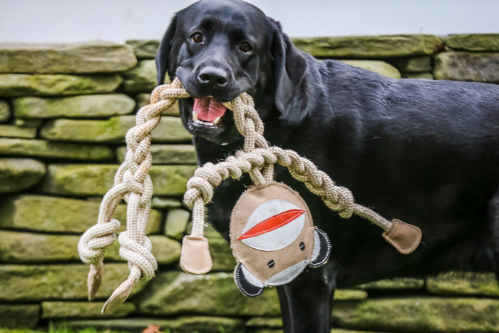 Natural Rope Knottie Dog Toys, 3 Pack, XL, photo 5