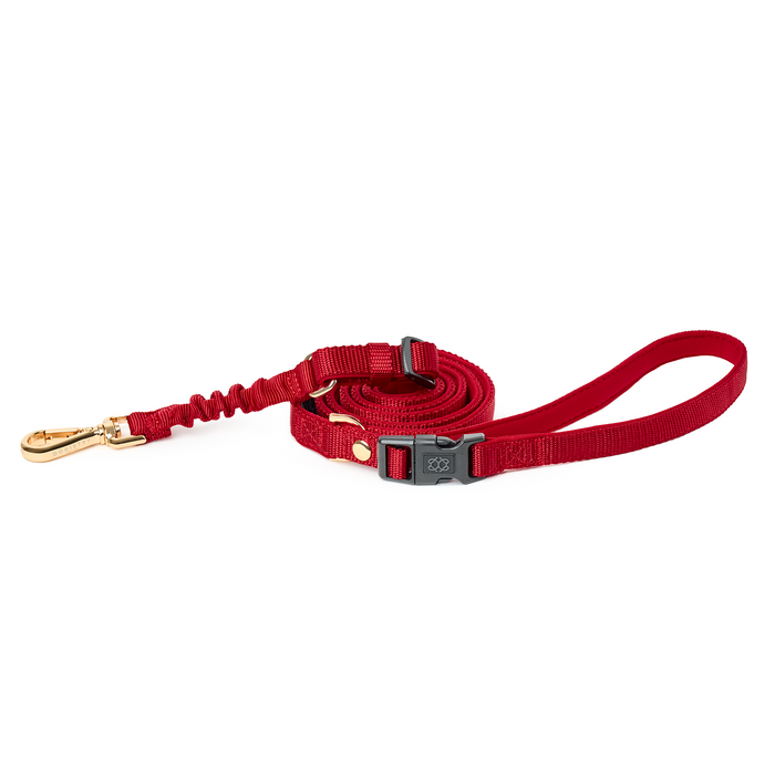 Iconic Red City Bungee Dog Leash