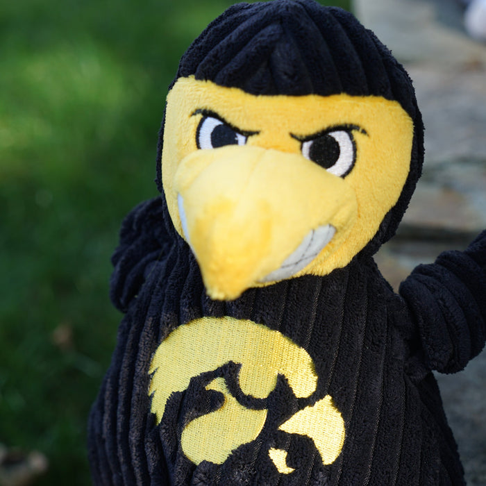 NCAA University of Iowa, Herky the Hawk Knottie, juguete de peluche para perro, foto 5