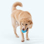 Jive Fetch Ball Dog Toy, photo 5