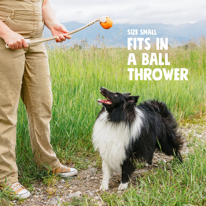 Jive Fetch Ball Dog Toy, photo 6