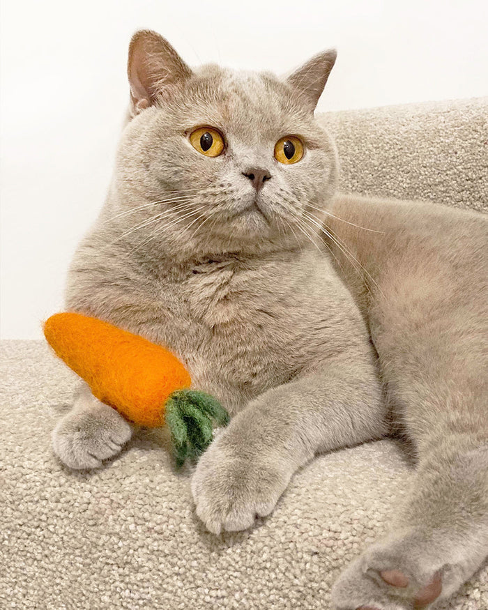 Juguete de lana para perro y gato Carrot, foto 2