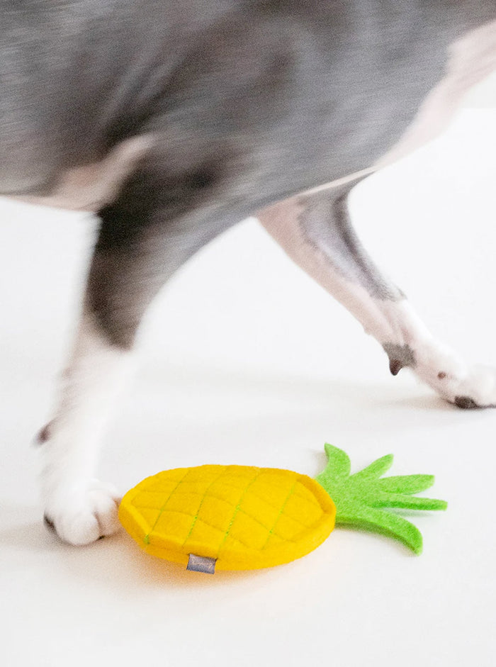 Juguete con hierba gatera para gato Pineapple, foto 2