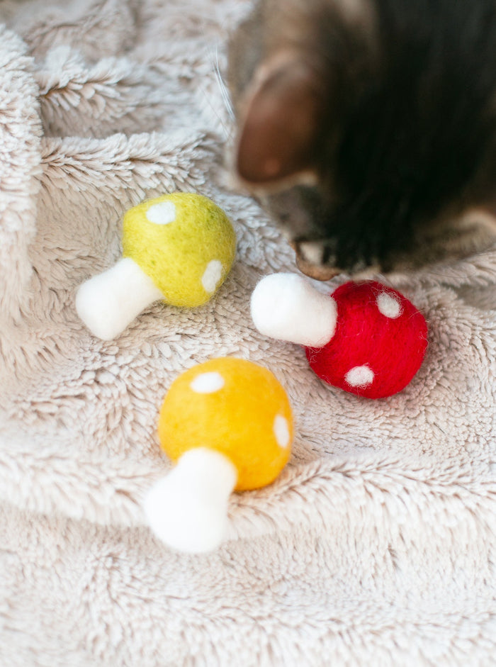 Shrooms Wool Cat Toy Set, photo 2