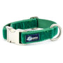Kelly Green Velvet Essential Dog Collar, photo 2