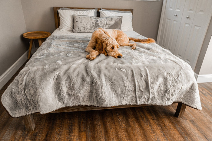 PupProtector Summer Short Fur Waterproof Throw Blanket, Grey, photo 11