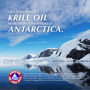 Aceite de krill salvaje en cápsulas blandas para perro y gato, foto 8