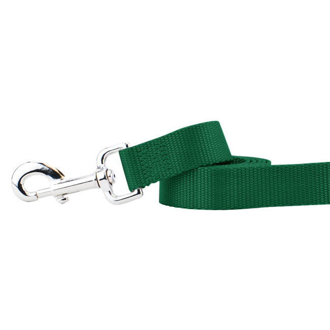 Correa para perro de nailon verde Kelly, foto 1