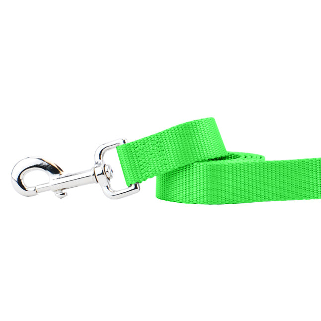 Correa para perro de nailon verde neón, foto 1