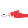 Correa para perro de nailon rojo, foto 1