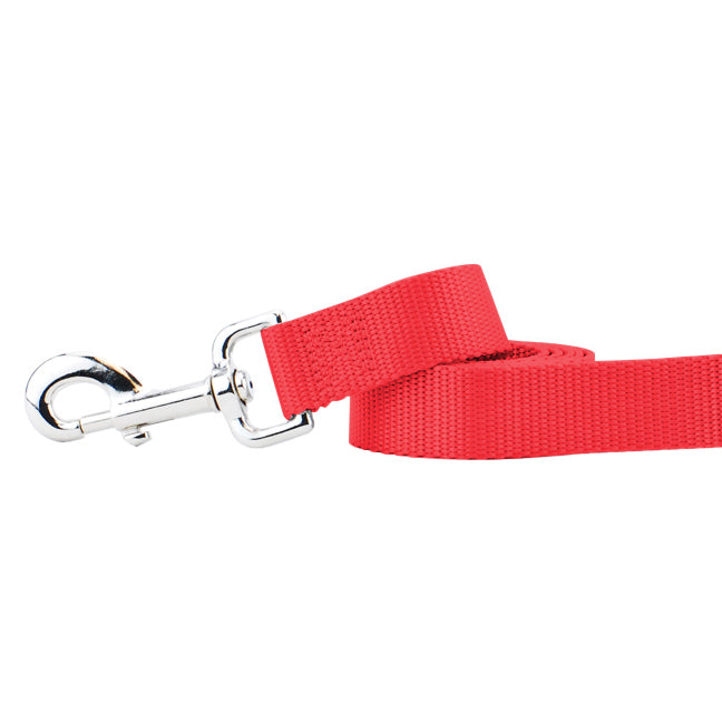 Correa para perro de nailon rojo, foto 1