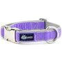 Lavender Velvet Essential Dog Collar, photo 1