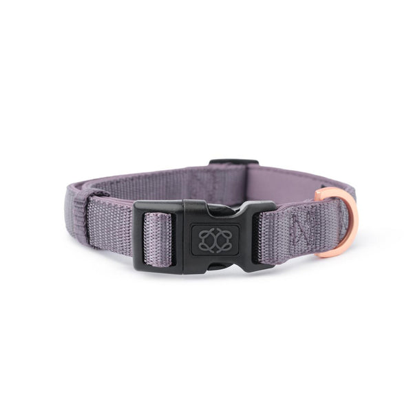 Lilac Gray City Padded Dog Collar