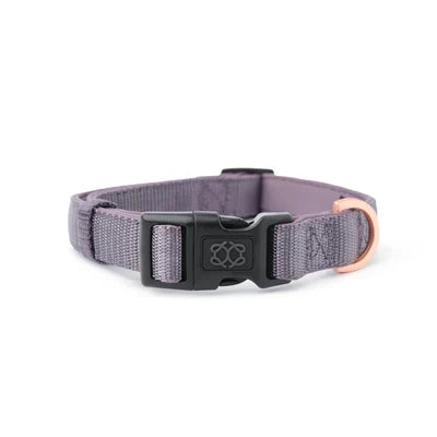 Lilac Gray City Padded Dog Collar, photo 5