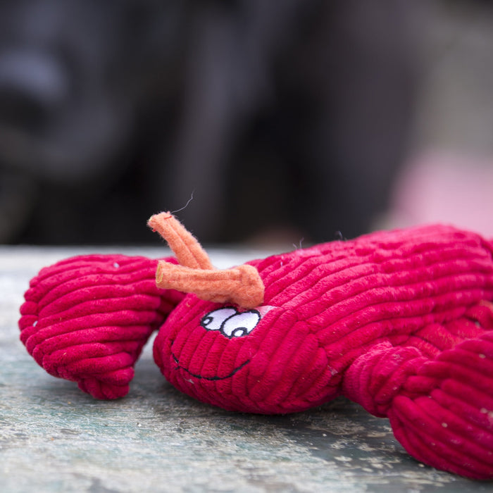 McCraken Lobsta Knottie, juguete de peluche para perro, foto 8