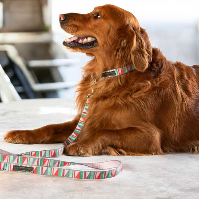 Classic Quick-Release Dog Collar, 1 Inch, photo 3