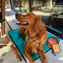 Ultralight Portable Dog Settle Mat, photo 12