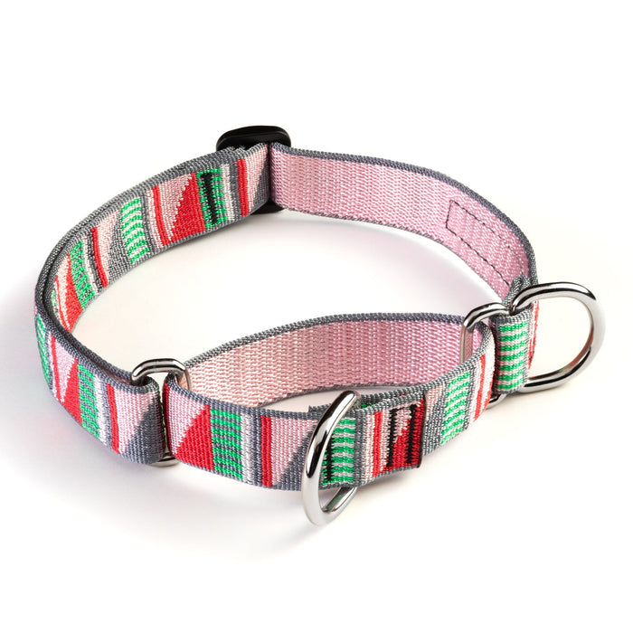 Martingale Training Dog Collar, 1 Inch, photo 2