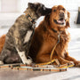 Classic Dog Leash, 1 Inch, photo 6