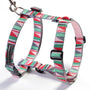 Roman-Style Strap Dog Harness, 1 Inch, photo 1