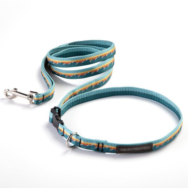 Adjustable Hands-Free Dog Leash, 3/4 Inch, photo 2