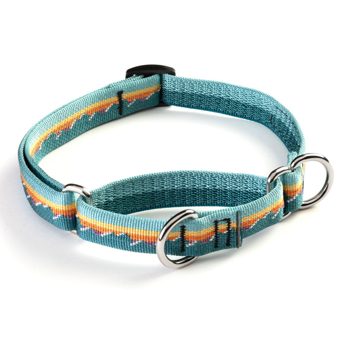 Martingale Training Dog Collar, 1 Inch, photo 1