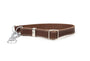 Martingale Leather Dog Collar, photo 6