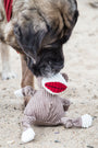 Stuey Sock Monkey Knottie, juguete de peluche para perro, foto 10
