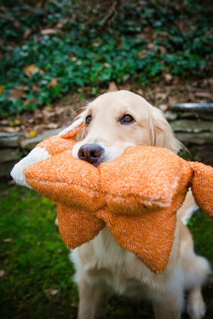Squooshie Fox, juguete de peluche para perro, foto 4