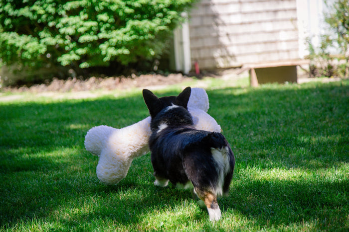 HuggleFleece, hueso de peluche para perro, 2 pies, foto 3