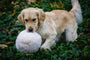 HuggleFleece Plush Ball Dog Toy, photo 4