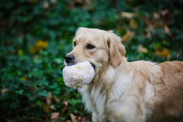 HuggleFleece Plush Ball Dog Toy, photo 5