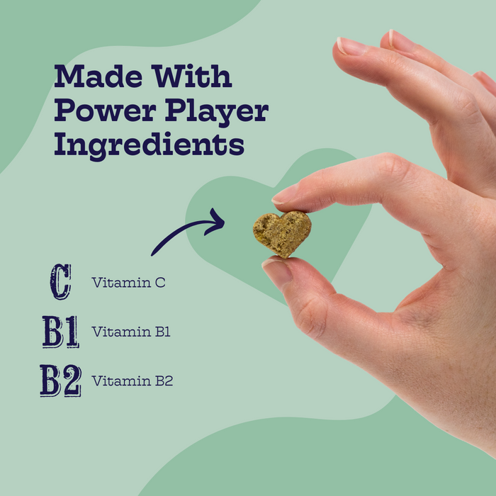 Chicken and Waffles Multivitamin Chews for Dogs, photo 2