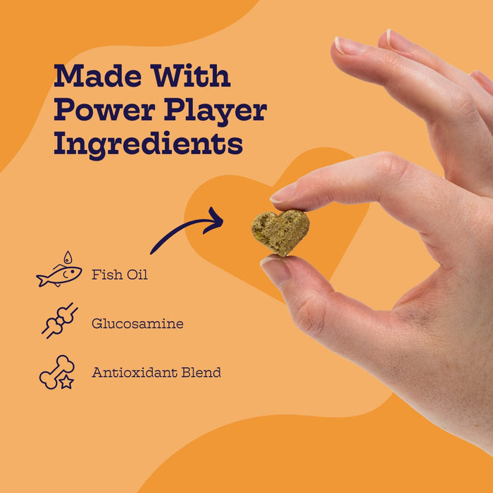 Multi-Plus Multivitamin Soft Chews for Dogs, photo 2